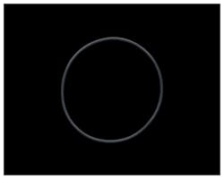 ホイールハブキャップO-ring 87-96y ソフテイル