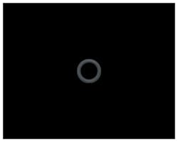 フューエルポンプフィルターO-ring 11351