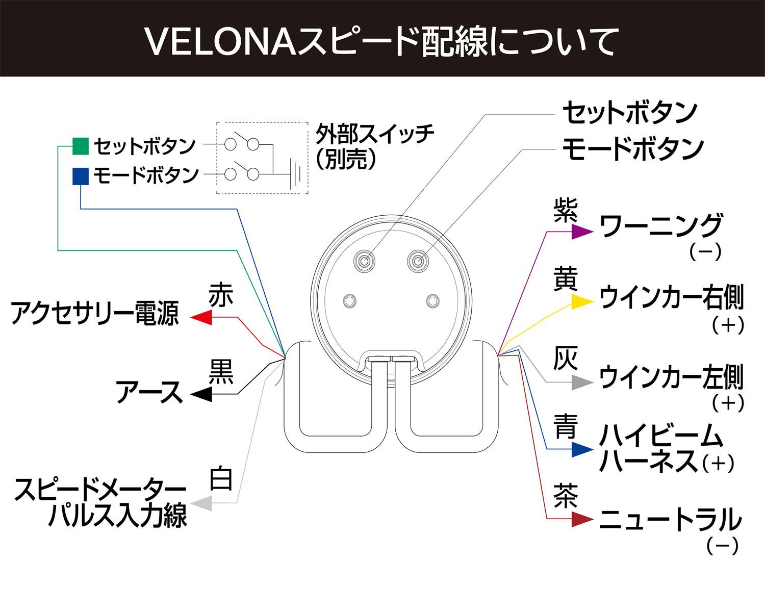 フィオナ確認用 L028738.jpg?ver=1649652666