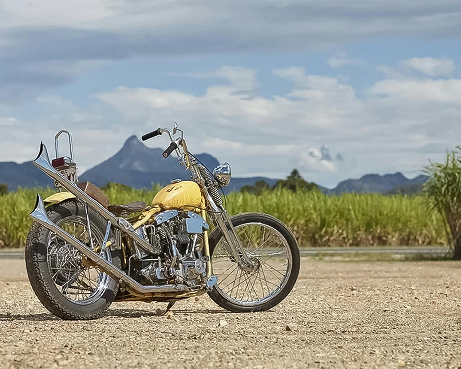 ハーレー用パーツ カスタムパーツの通信販売 ネオファクトリー ハーレー用パーツ カスタムパーツの通信販売 ネオファクトリー