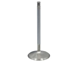 キブルホワイト インテークバルブ 1.693in 17y- M8